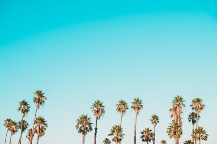 Photo domain names
